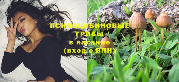 a pvp Бердск