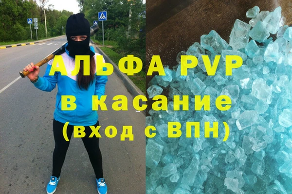 ГАЛЛЮЦИНОГЕННЫЕ ГРИБЫ Сураж