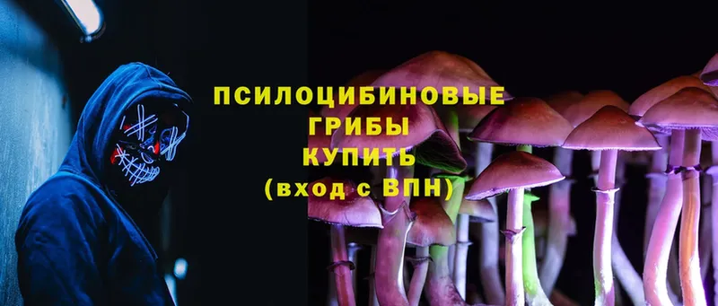 купить закладку  Апрелевка  Галлюциногенные грибы Cubensis 