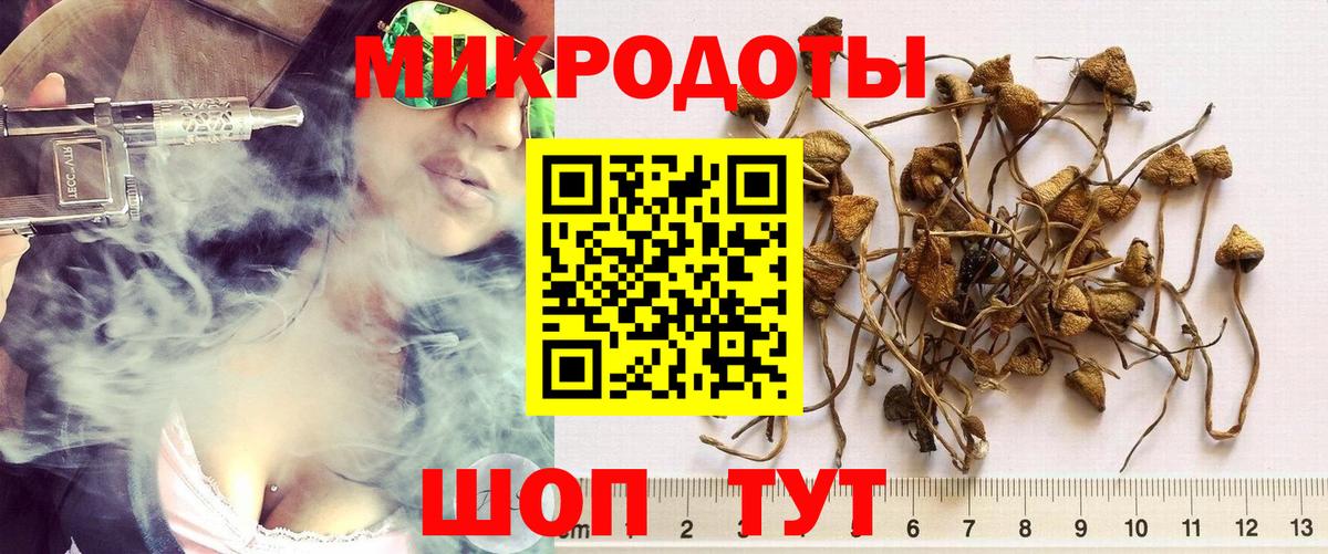 продажа наркотиков  Апрелевка  Галлюциногенные грибы Psilocybe 