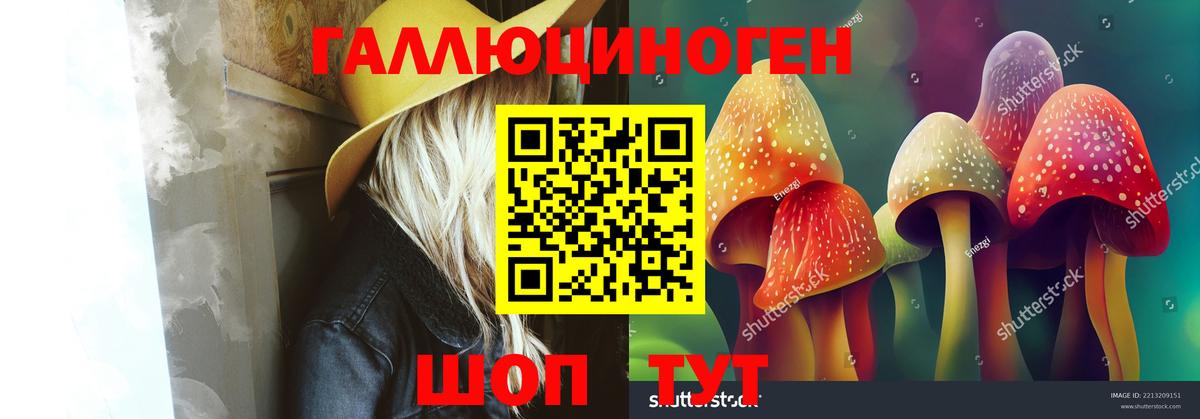 Апрелевка  Псилоцибиновые грибы Magic Shrooms  Вход с VPN 